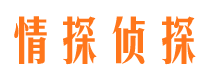 长白市侦探公司